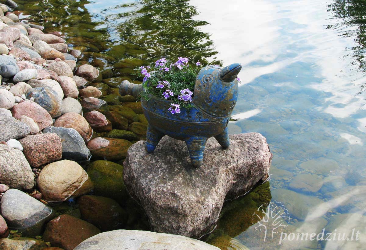 Kiemo dekoras: keramikinis vazonas