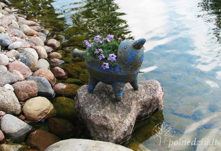 Kiemo dekoras: keramikinis vazonas